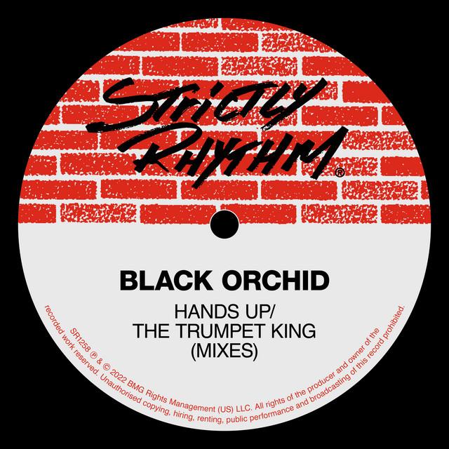 Black Orchid