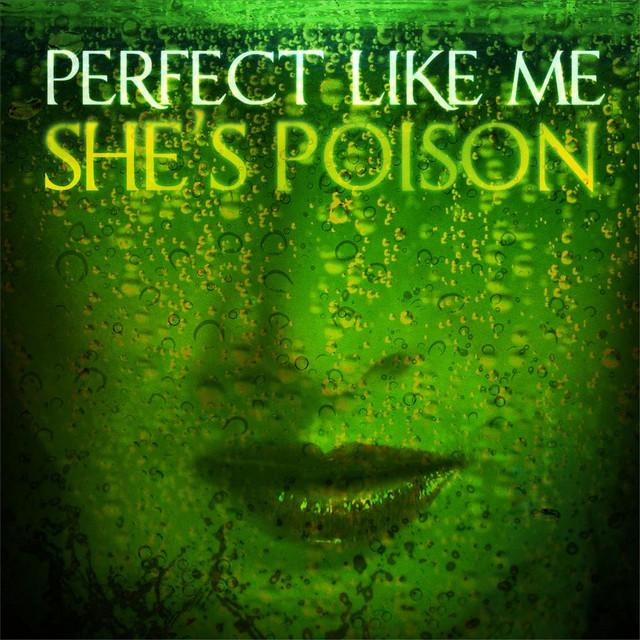 Perfect Like Me