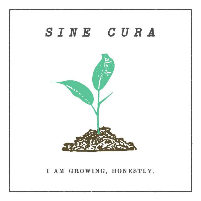 Sine Cura