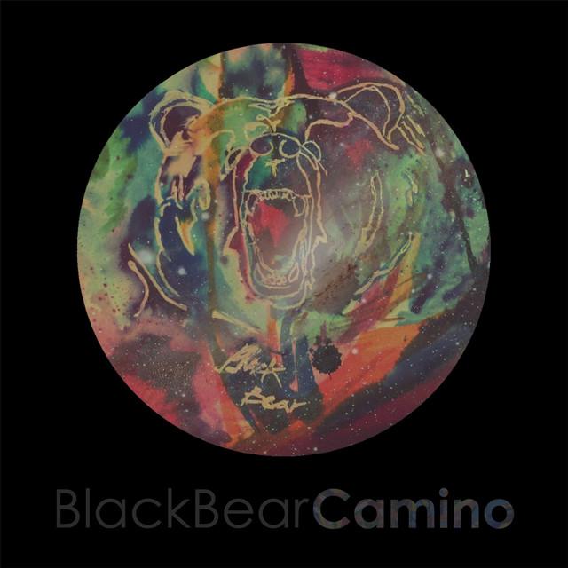 Black Bear