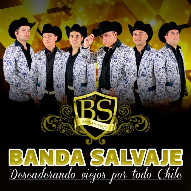 Banda Salvaje