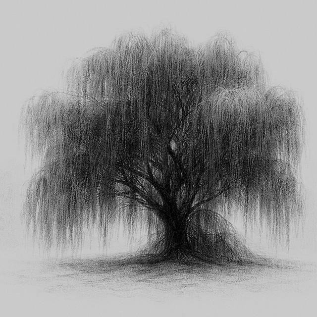 WILLOW
