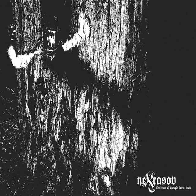 Nekrasov