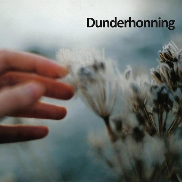 Dunderhonning