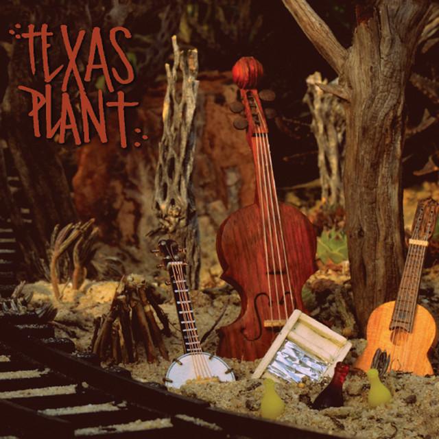 Texas Plant