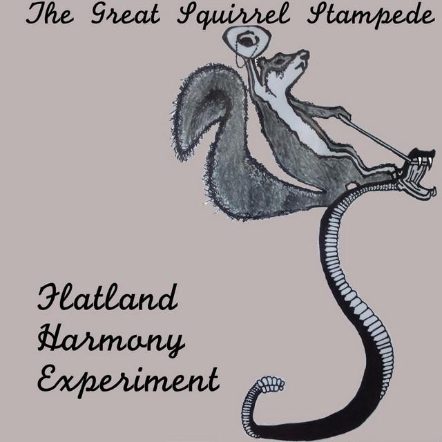Flatland Harmony Experiment