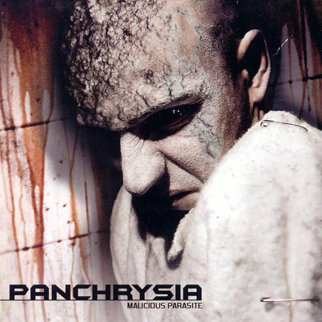 Panchrysia