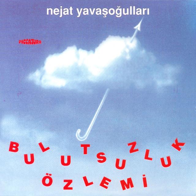 Nejat Yavaşoğulları