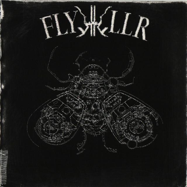 Flykkiller