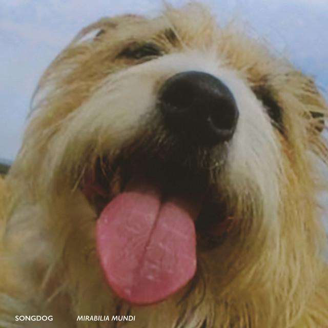 Songdog