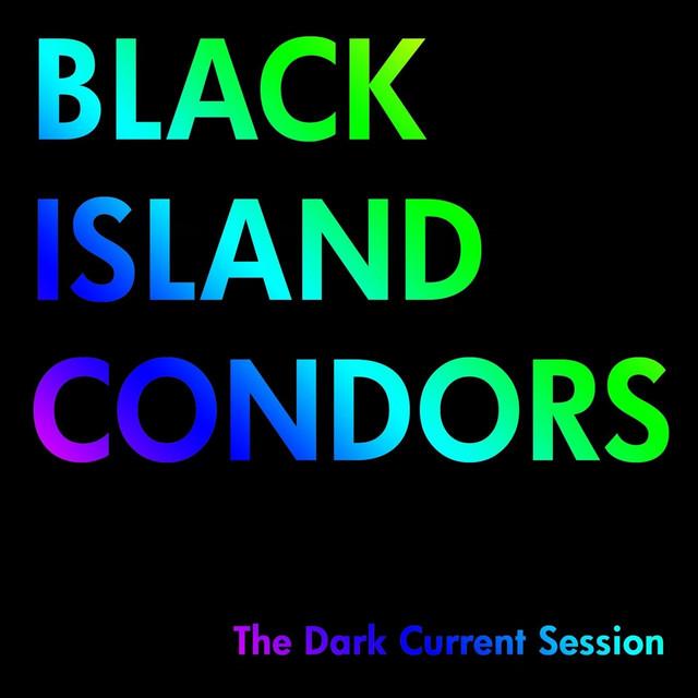 Black Island Condors
