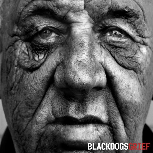 Black Dogs
