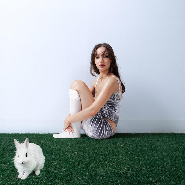 Le lapin blanc