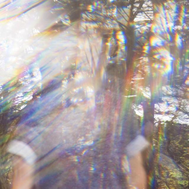Future Shapes