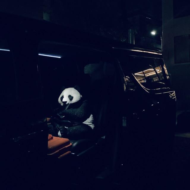 沼澤尚