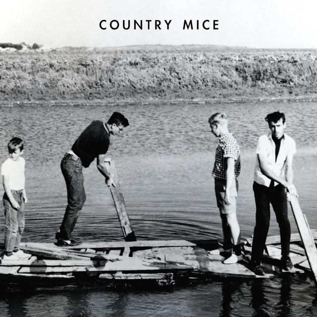 Country Mice