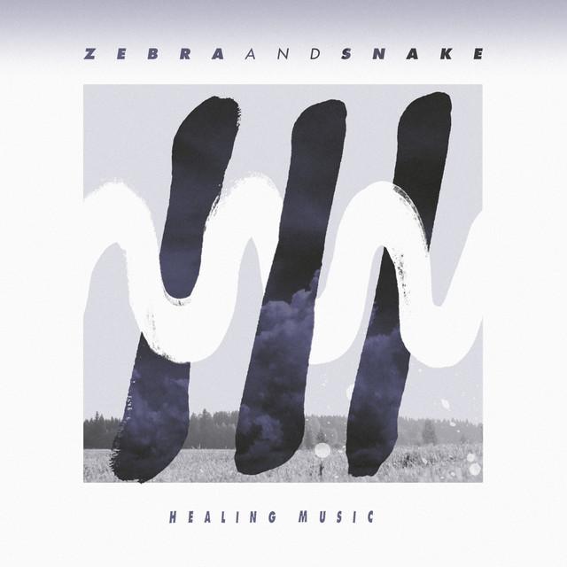 Zebra and Snake