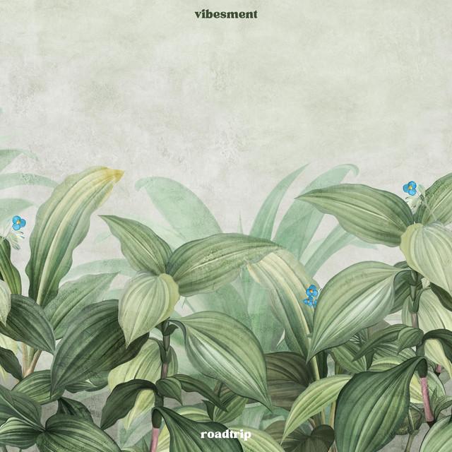 vibesment