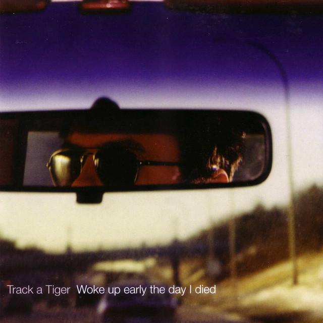 Track A Tiger