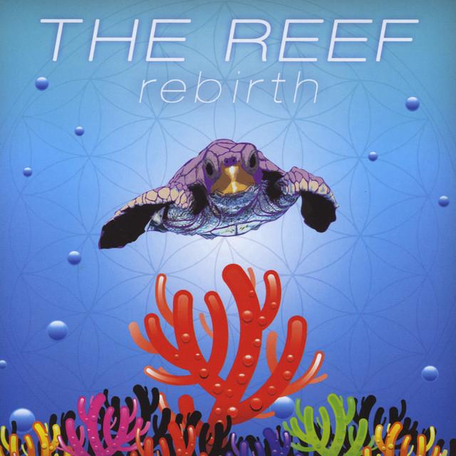 The Reef