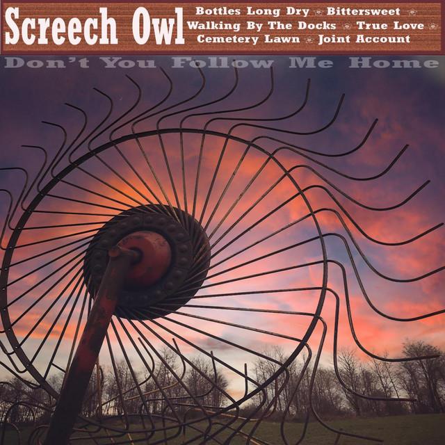 Screech Owl