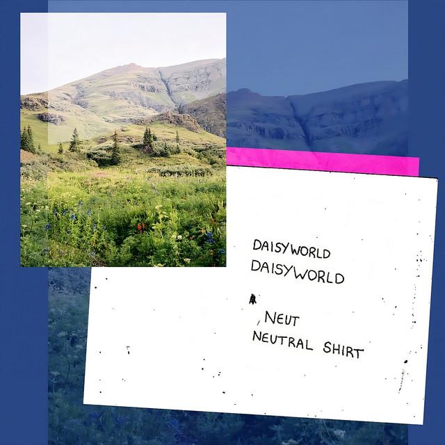 Neutral Shirt