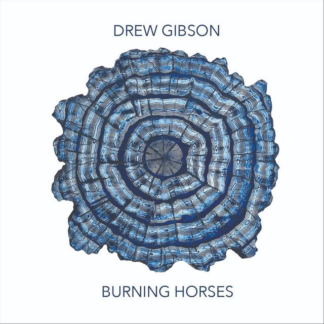 Drew Gibson