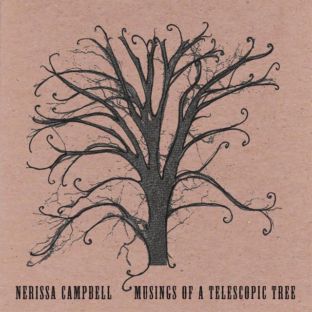 Musings of a Telescopic Tree