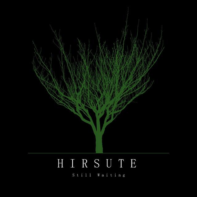 Hirsute
