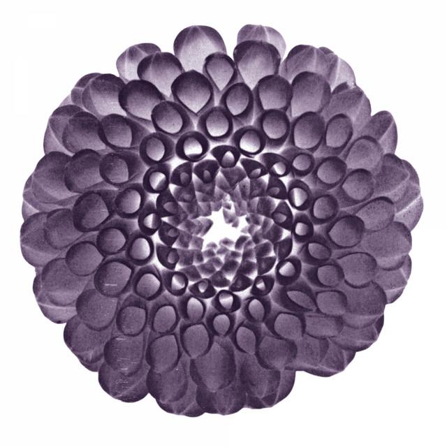 Petals