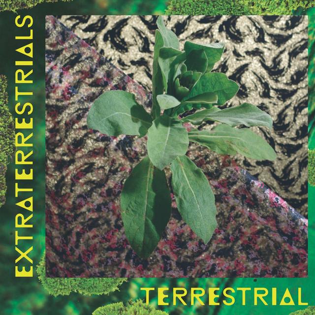Extraterrestrials