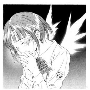 cherubino's profile picture