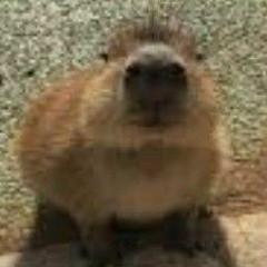 Shoop's profile picture