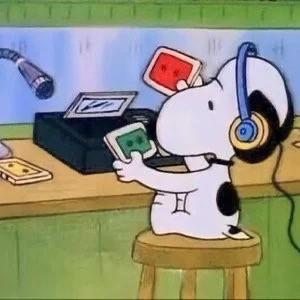 shanza's profile picture