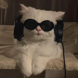 erinhodges4's profile picture
