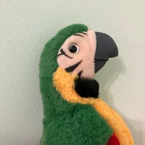 Birdo
