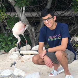 Armaan's profile picture