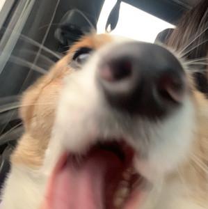 maggie