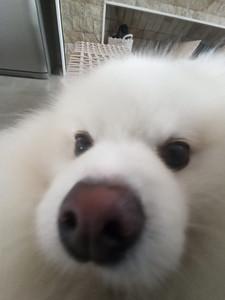 guga coco xixi's profile picture