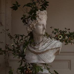 C. A.'s profile picture