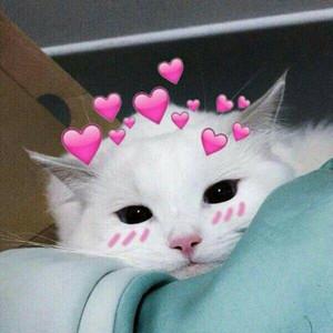 trbl.404's profile picture