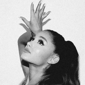 adrya's profile picture