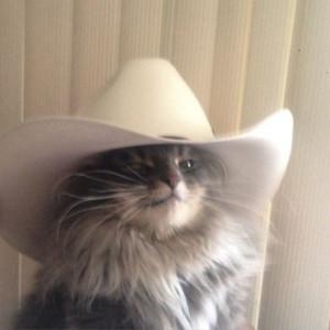 oyek's profile picture