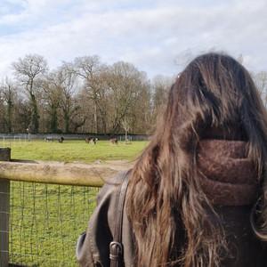 erell's profile picture