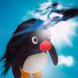 adam A's profile picture