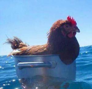 Fergus Hodder's profile picture