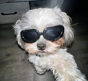 Adriana's profile picture