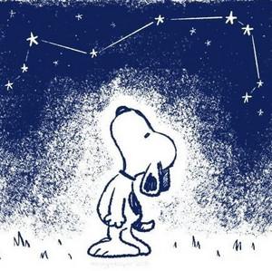 Em ミ★'s profile picture