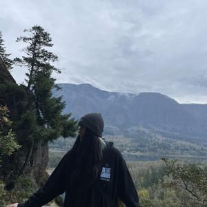 liaaa🧚🏻‍♂️'s profile picture