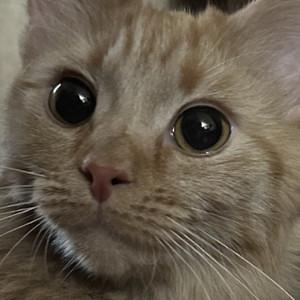 ava's profile picture